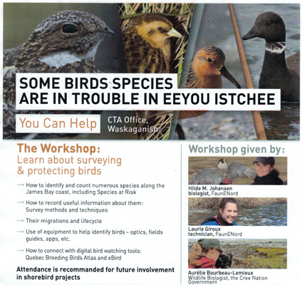 Bird Workshop poster H400x