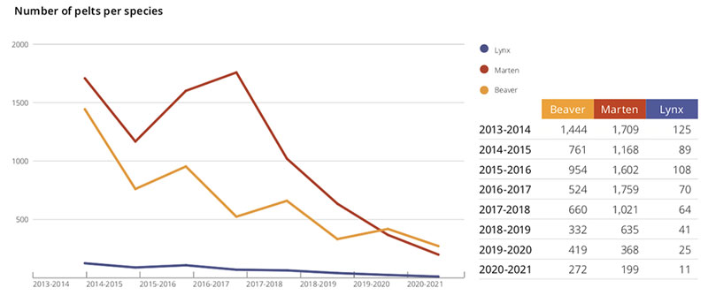 Number of pelts per species