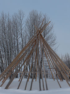 Tipee